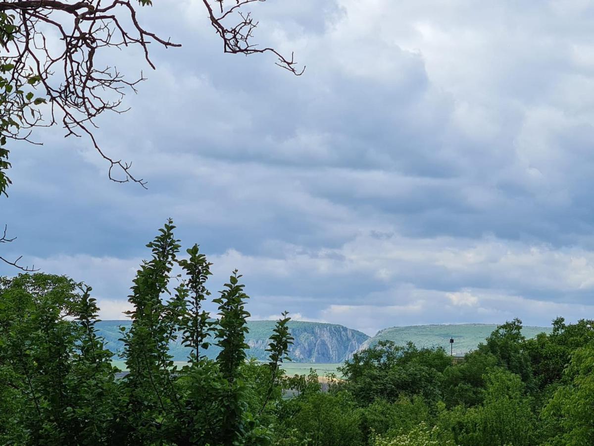 Bella Vista Bungalow Turda Esterno foto