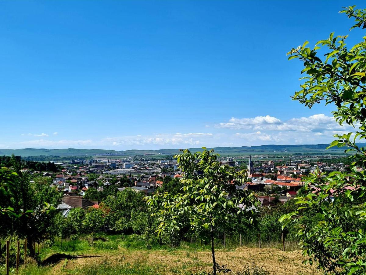Bella Vista Bungalow Turda Esterno foto