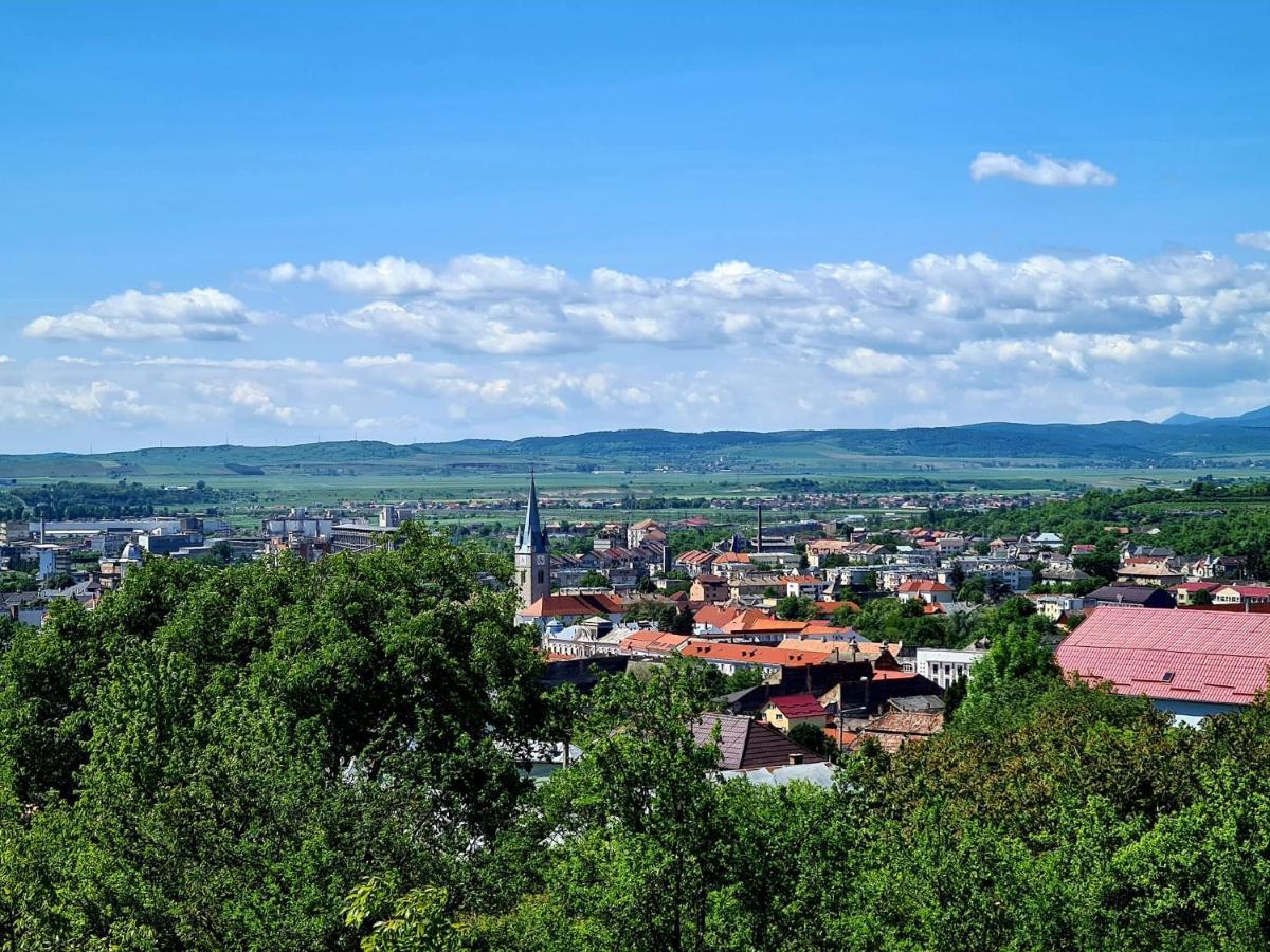 Bella Vista Bungalow Turda Esterno foto